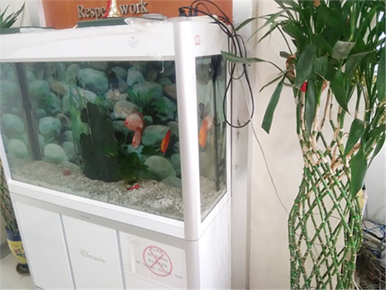 金桥办公区